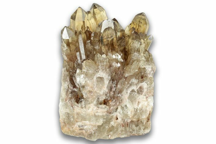 Smoky Citrine Crystal Cluster - Luena, DR Congo #324392